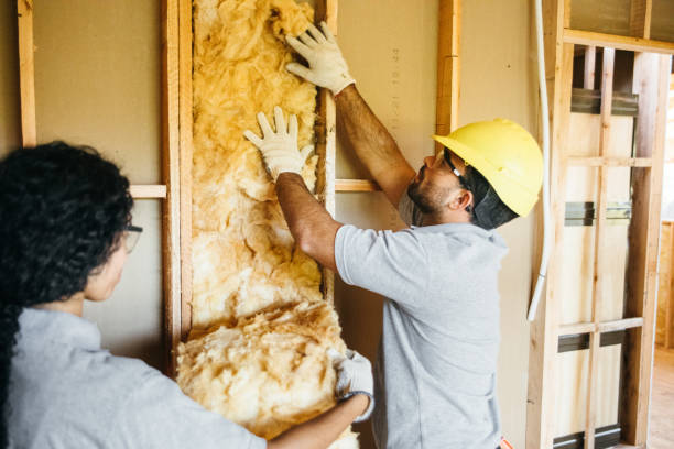 Best Local Insulation Services  in Esperance, WA